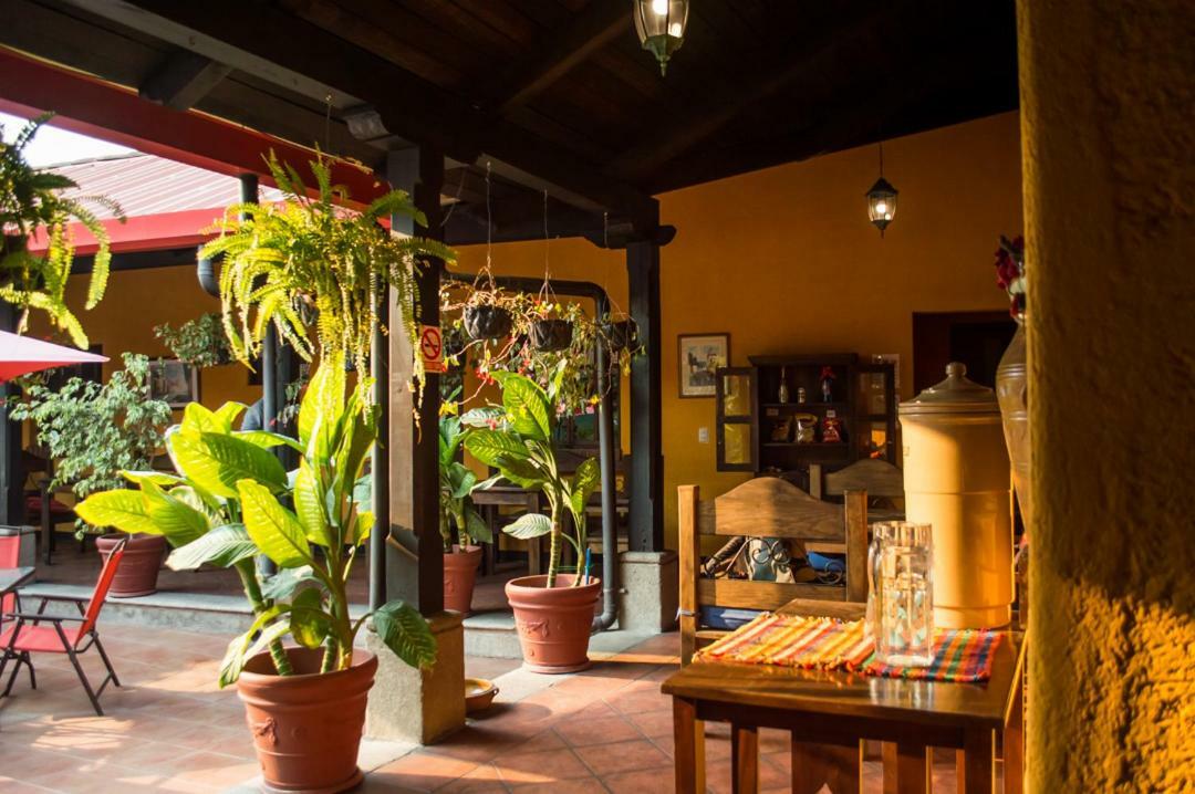 Hotel Palma De Mallorca Antigua Zewnętrze zdjęcie